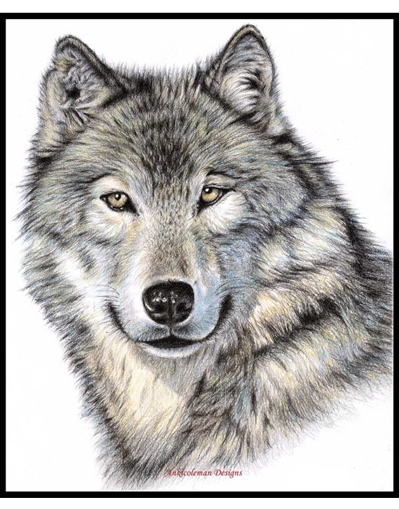 The Wolf Head – Counted Cross Stitch Patterns/Kits – Color Symbols ...